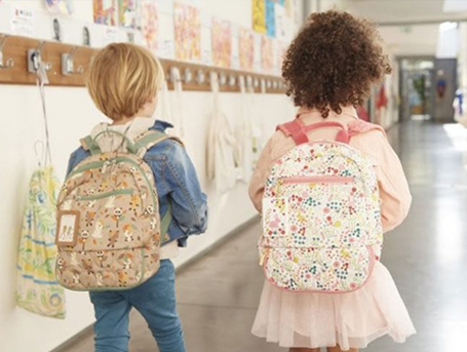 Écoles et éducation à l'île Maurice